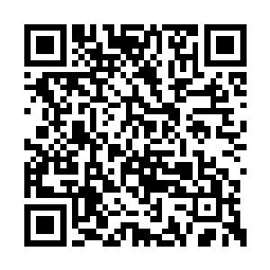 最好的结果应该就是被某些人软禁起来成为玩偶二维码生成