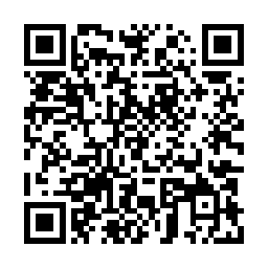 最对不起你们的是还让你们这种想法付诸了行动二维码生成