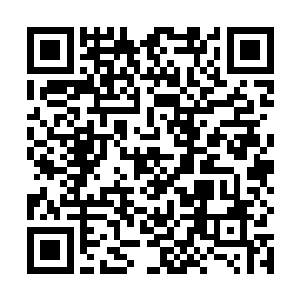 最惨的是江少游突然发现自己前方的树林已经到了近头二维码生成