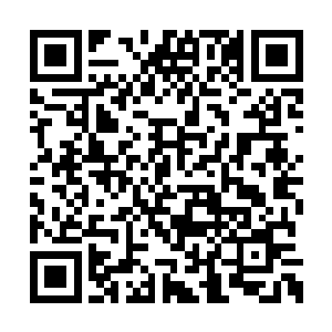 最新的有刚出厂连涂装都还没有完成的米格飞机二维码生成