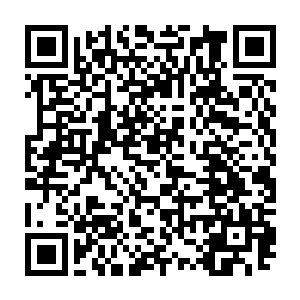 最新章节全文阅读那段血红色的回忆和恐惧在某一个瞬间占满了他的脑袋二维码生成