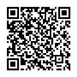 最棘手的问题是对于法能的恶意揣测他们并没有实打实的证据二维码生成