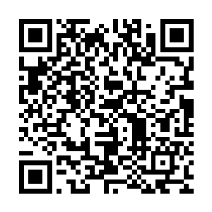 最终原本有些失神和呆滞的双眼也逐渐变得有灵动和有神了起来二维码生成