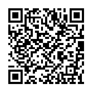 最近仙门都流传着杀你就能继承祖龙气运的消息二维码生成