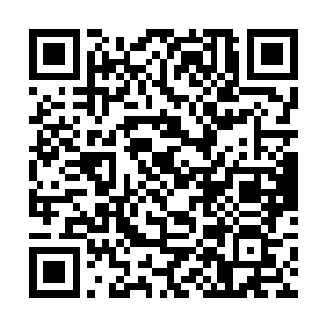 最近秦方对于包子的补血能力也是很有些不太满意的二维码生成