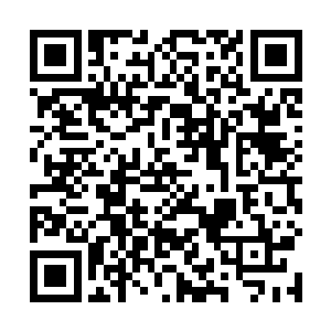最重要的是在她的属性值面板上一点也不会增加财富值二维码生成