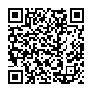 有中阶剑技青狼双杀和青狼啸月以及自创的惊云杀二维码生成