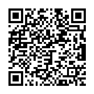 有了这么一比较李奥纳多比别人更能体会富朗阿岛上的适宜之处二维码生成