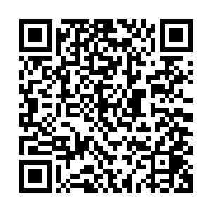有了龙野这个电灯泡还有肚子里的宝贝凌菲就像是有了免死金牌二维码生成