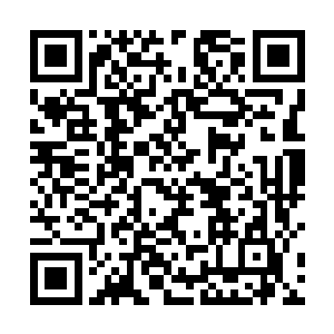 有些想不明白师姐与杨开怎么看起来好像很熟悉的样子二维码生成