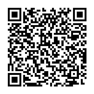 有些演员的魅力和演技在一个特定的导演手里能得到最大程度的发挥二维码生成