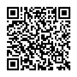 有些黯然的看着笼罩了整个岩浆之海的深渊飓风二维码生成