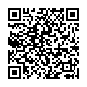 有八个暗红色的土包均匀的出现在灰石山的四面八方二维码生成