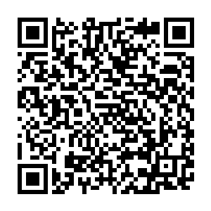 有可能就能多救一条人命――他到现在都没有忘记当初在黑炎城的容孤院里二维码生成