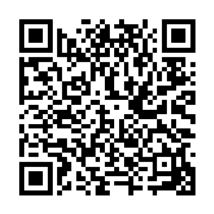 有心想将一些世间基本认识直接灌注于其脑海之中二维码生成