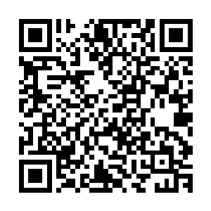 有模有样地完成了几项捐款不留名却又在事后被曝出的事情来二维码生成