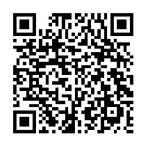 有热心的四山网友将有道集团捐建的教学楼拍照发到了网上二维码生成