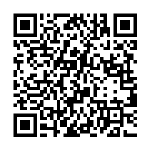 有的作家一天之内销售好几百万册的情况都时有发生二维码生成