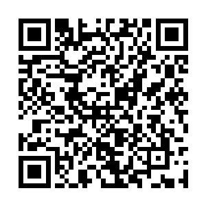 有请我国著名司法语言学家朱高峰教授和他的团队二维码生成