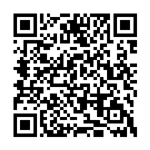 朗朗族长和各位矮人长老表示小孩子就要多动手二维码生成