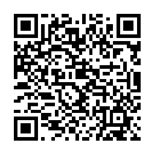望向人群后方那些应天海家之命前来挑战国教学院的高手们二维码生成