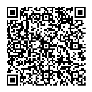 朝鲜最高人民会议常务委员会委员长及党政军干部和市民还有记者共7000多人在人民广场举行纪念活动二维码生成