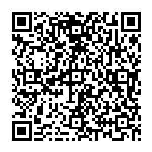 期望能从陪嫁嬷嬷和跪在陆天养身后据说很早就侍奉陆天养的随侍身上得到一点点提示二维码生成