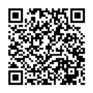 期间还多次差点让雅柏菲卡以为她其实是想离开二维码生成