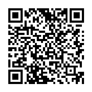 木棍前端被削尖的尖头正正的抵上了韩越的咽喉二维码生成