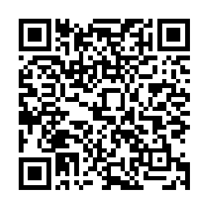 未成人型一离开母体就被人直接装进了小的福尔马林瓶子里二维码生成