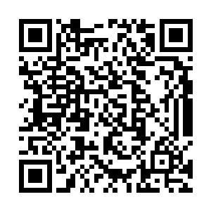 未来也不知道会出现什么样的恶果无敌升级王全文阅读二维码生成