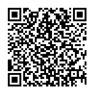 未真因为双手双脚都被魔鬼一点点啃噬掉的极致的痛苦而变得无比的怨毒二维码生成