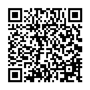 本以为女真鞑子对云内诸州这般要地至少形成了初步的统治二维码生成