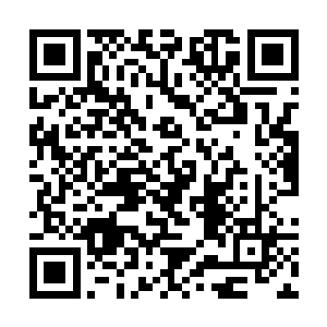 本公子一定会找到一具灵傀将你那具傻大个砸成碎片二维码生成