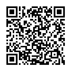 本地的主教带着圣殿骑士们不远千里的赶了过来二维码生成
