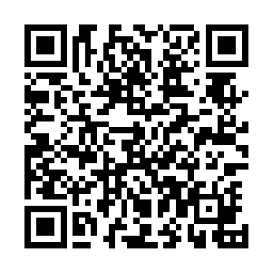 本宫到现在还清楚记得祭司大人那时可是又哭又跪的叫本宫二维码生成