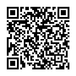 本想着在这次议会上商量成立统一的联络机构和管理组织二维码生成
