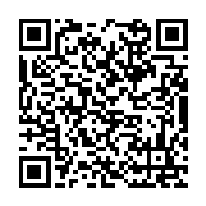 本抱着揶揄心态将绿婆婆引进来的战如意脸色一沉二维码生成