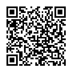 本来两个公司总裁都打算重新跟大唐世子科技联系上的二维码生成