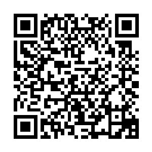 本来也是卡尔先生约牟晨菲过来看看设计初成型的二维码生成