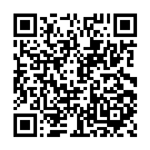 本来已经干涸的脉力在它的影响下如同枯木逢春二维码生成