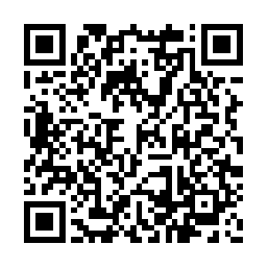 本来我们打算将这个任务委托给你们仙武学院的二维码生成