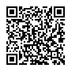 本来是应该拥有充足的时间将一系列的封禅龙脉二维码生成