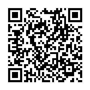本来是想当成类似于黄金丹尼那样的角色培养的二维码生成