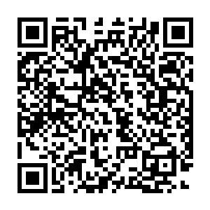 本来是木然和了无生气的眼睛里更是充满了对这个世界的嘲讽和怨毒二维码生成