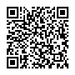 本来有些无精打采的护航队员们一下子来了精神二维码生成