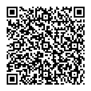 本来正在欢乐观战的各国黑客们此时已经开始展现他们超快的手速各种新鲜而欢乐的评论飞快出炉二维码生成
