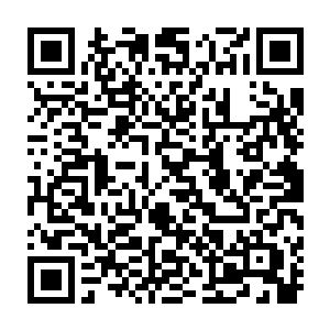 本来秦方是不太在意的……毕竟区区一具没有什么用处的变异野狗的尸体而已二维码生成