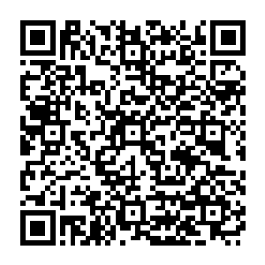 本来谈判的天平随着三枚龙果的忽然出现已经严重的朝着梅里万塞斯内特集团方面倾斜二维码生成