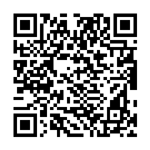 本来还抱着一丝希望之后一段时间多去上神那边走动一些二维码生成